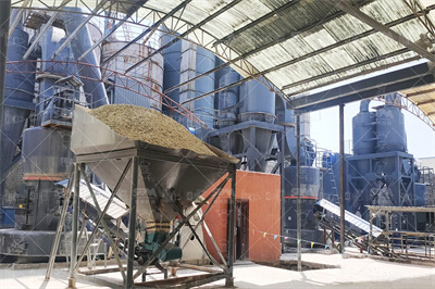 长沙岱勒新材料科技股份有限公司2024年年度报告摘要